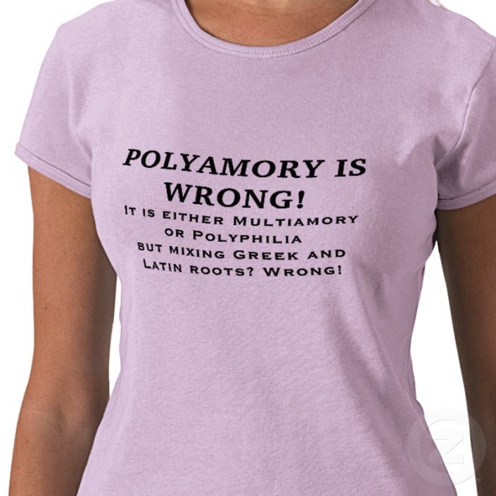 polyamory_is_wrong_tshirt